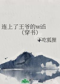 үwifi飩