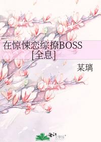 ھBOSS[ȫϢ]